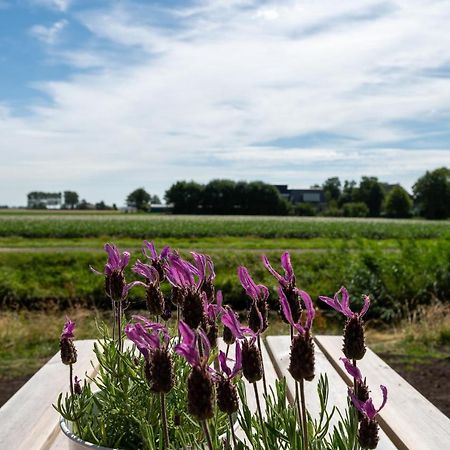 Appartement De Dageraad In Monumentale Boerderij Kimswerd Zewnętrze zdjęcie