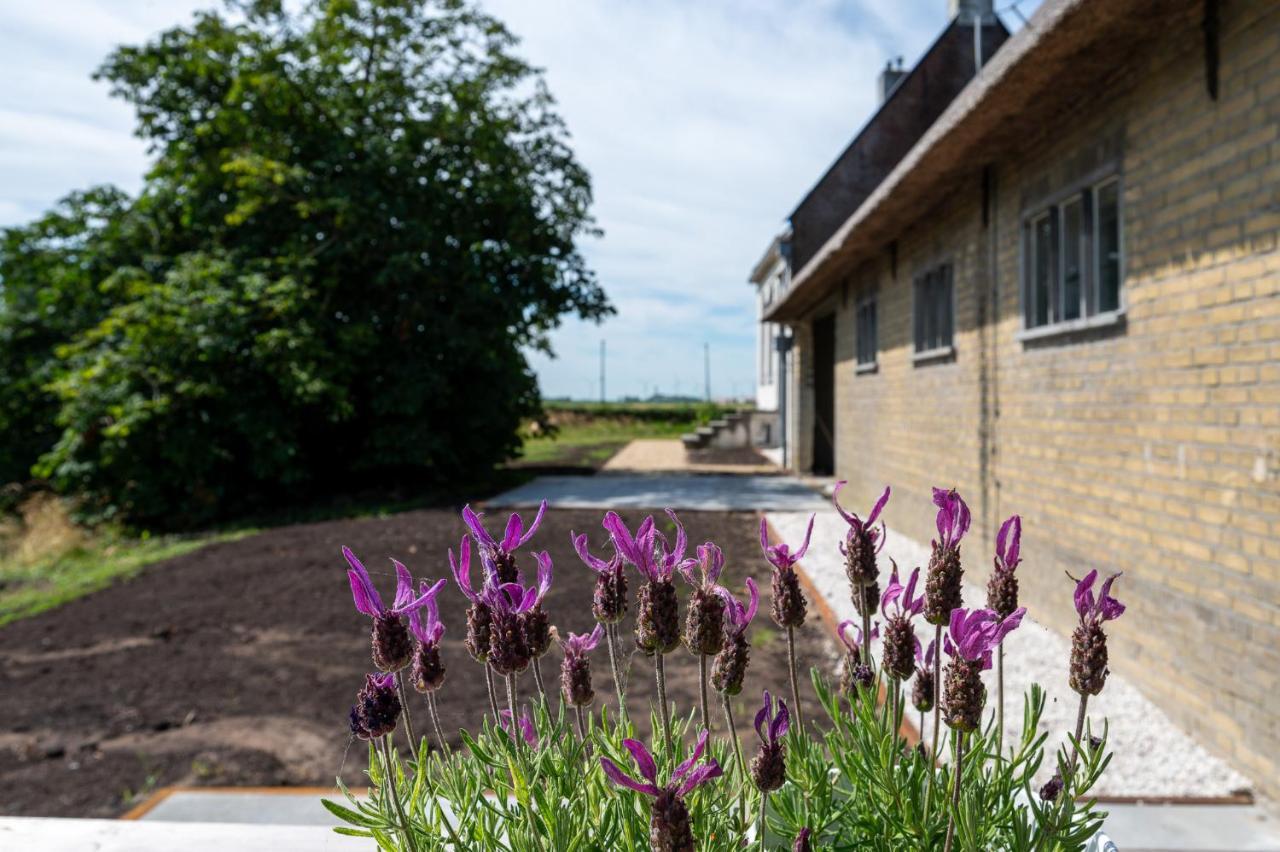 Appartement De Dageraad In Monumentale Boerderij Kimswerd Zewnętrze zdjęcie