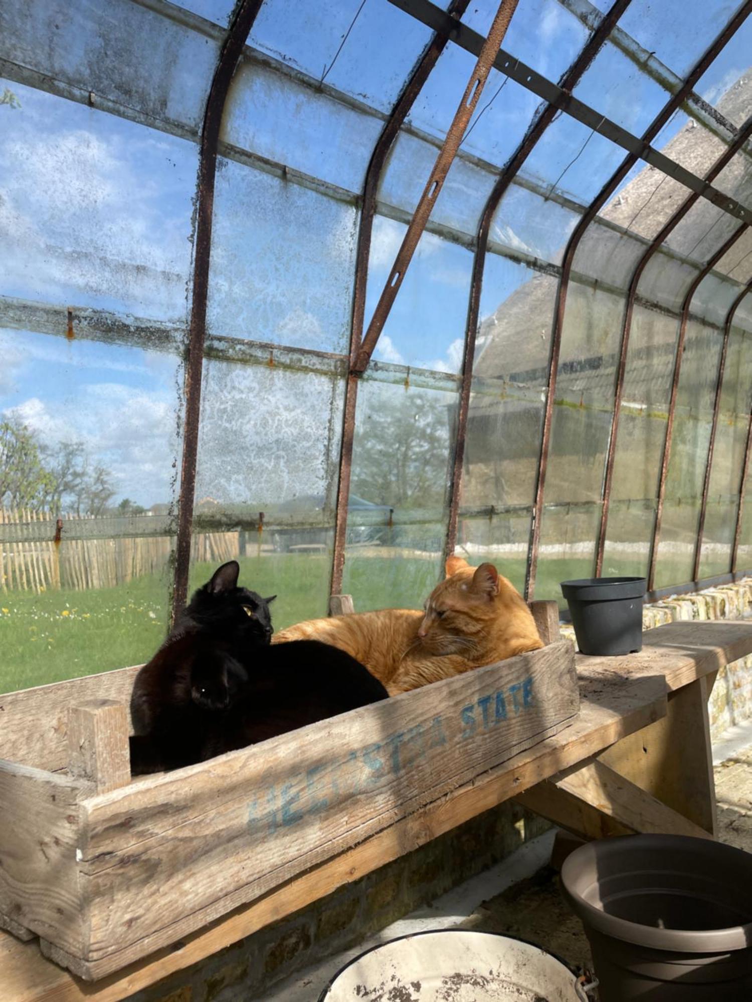 Appartement De Dageraad In Monumentale Boerderij Kimswerd Zewnętrze zdjęcie