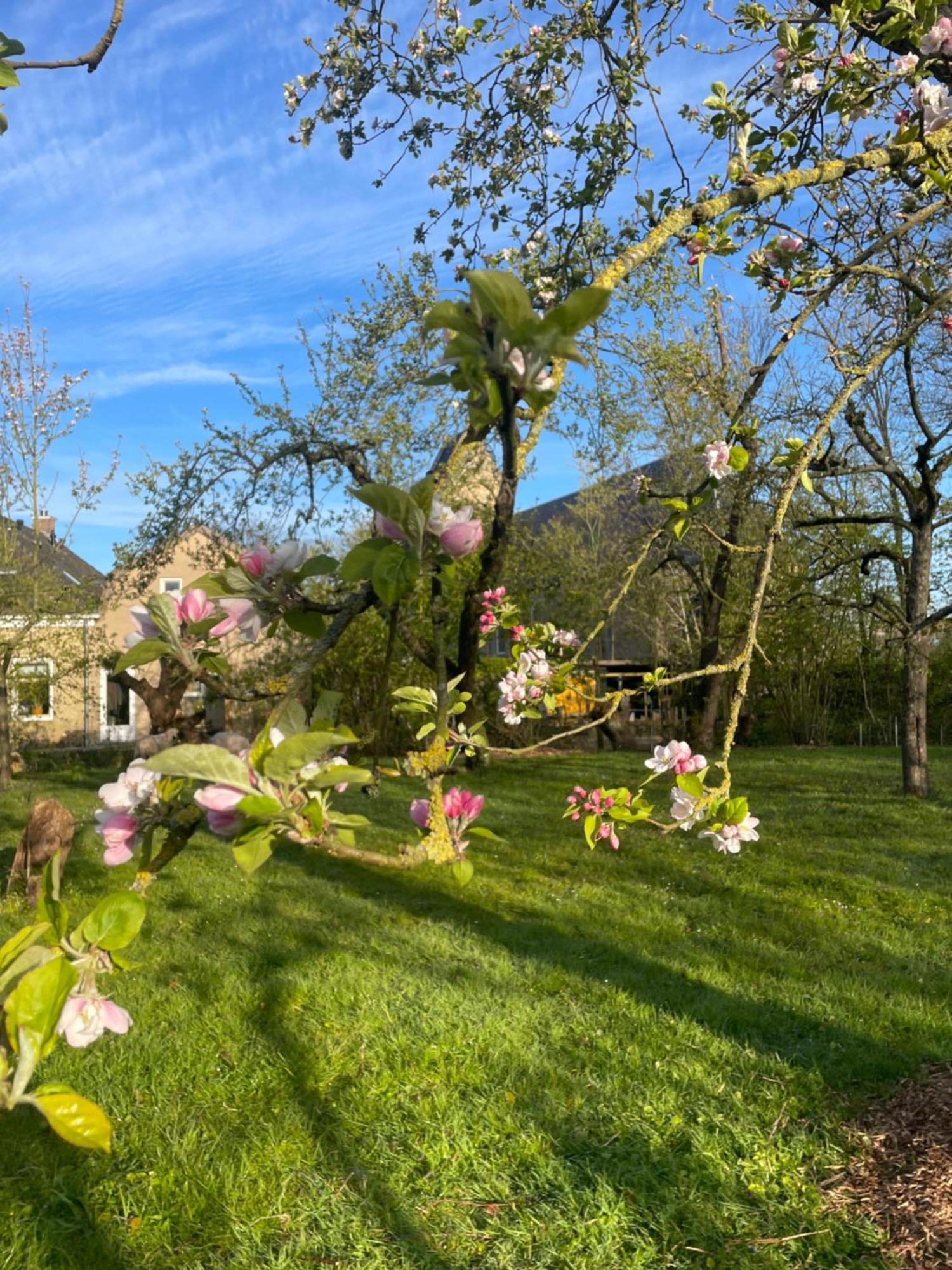 Appartement De Dageraad In Monumentale Boerderij Kimswerd Zewnętrze zdjęcie